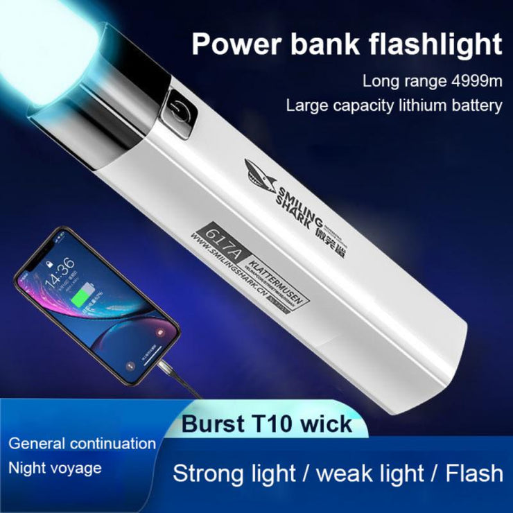 Pocket Power bank with Flash Light